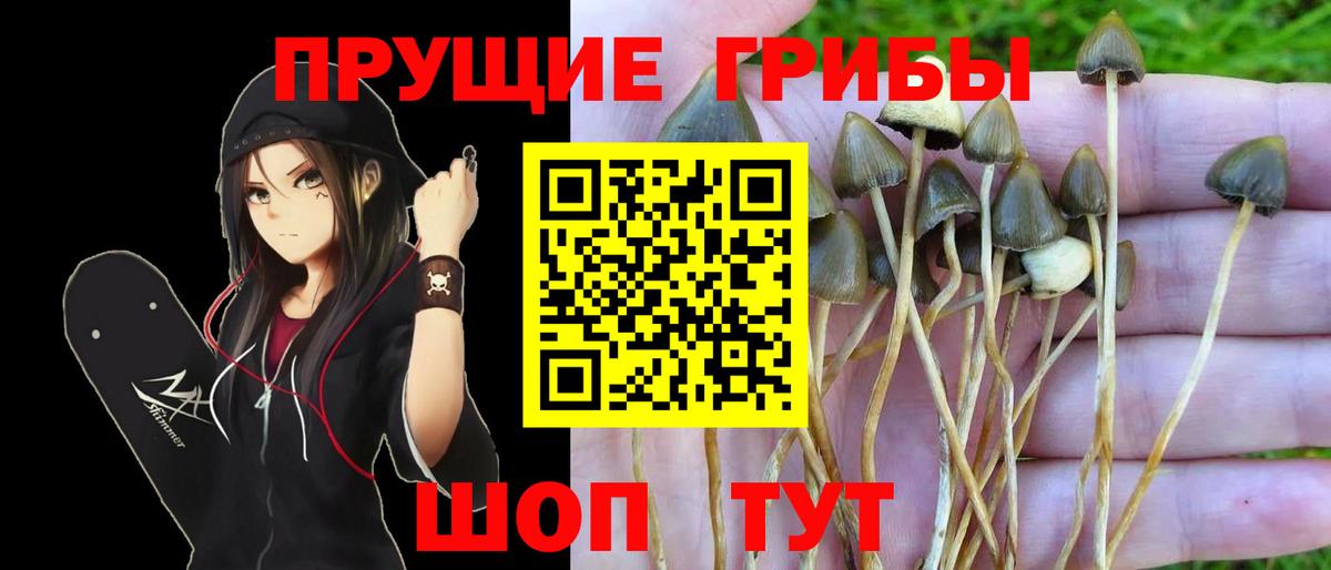 Псилоцибиновые грибы Magic Shrooms  Вход с VPN  Бутурлиновка 
